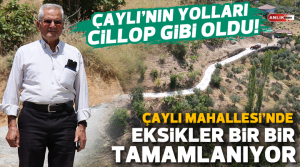 İlçe Merkezi ve kırsal mahallelerin tamamında, eksiklerin giderilmesi için çalışmalarına