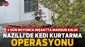 NAZİLLİ’DE KEDİ KURTARMA OPERASYONU