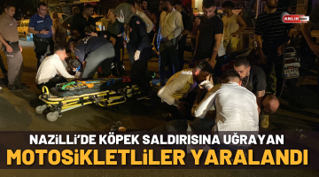 Nazilli’de köpeğin saldırdığı motorlular dengesini kaybetti