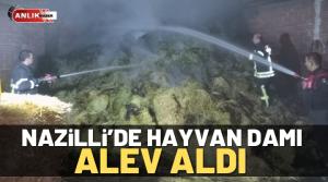 NAZLI ALTINAYAR – Yangın, Nazilli’de Hamzallı Mahallesi’nde akşam saatlerinde meydana