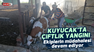 NAZLI ALTINAYAR – Yangın, Aydın’ın Kuyucak ilçesinde Beşeylül Mahallesi’nde öğle