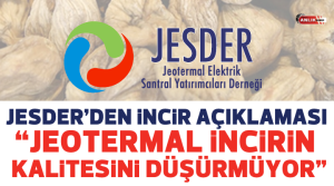 NAZLI ALTINAYAR – Jeotermal Elektrik Santral Yatırımcıları Derneği (JESDER), incir