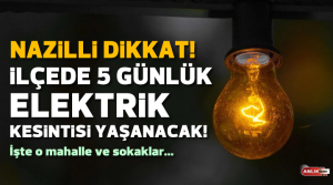 NAZLI ALTINAYAR – ADM Elektrik Dağıtım A.Ş., arıza onarım ve