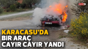 NAZLI ALTINAYAR – Yangın, Aydın’ın Karacasu ilçesinde Esençay Mahallesi’nde meydana