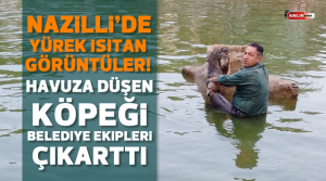 Nazilli’de Sümer Rekreasyon alanındaki gölete düşen sokak köpeğini Nazilli Belediyesi