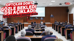 NAZLI ALTINAYAR – Aydın’da çiftçilerin dört gözle beklediği barajların doluluk