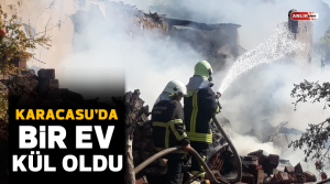 NAZLI ALTINAYAR – Yangın, Aydın’ın Karacasu ilçesinde kırsal Görle Mahallesi’nde