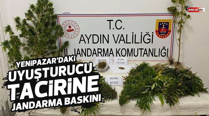 Yenipazar’daki uyuşturucu tacirine jandarma baskını