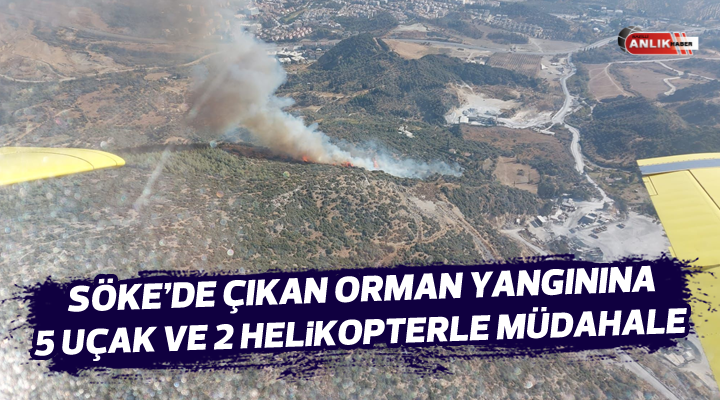 Söke’de çıkan orman yangınına 5 uçak ve 2 helikopterle müdahale