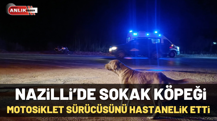 Nazilli’de sokak köpeği motosiklet sürücüsünü hastanelik etti
