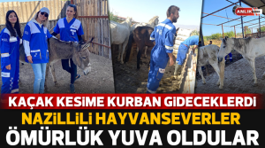NAZLI ALTINAYAR – Kan donduran olay Aydın’ın Efeler ilçesinde meydana
