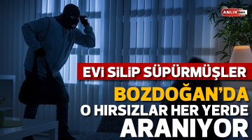 O hırsızlar Bozdoğan’ın her yerinde aranıyor