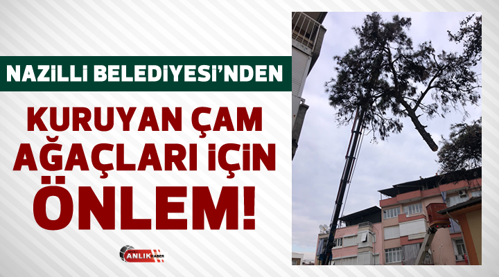 Nazilli Belediyesi Park ve Bahçeler Müdürlüğü ekipleri, ilçe genelinde kuruduğu