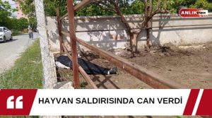   Olay, Aydın’ın Kuyucak ilçesine bağlı Horsunlu Mahallesi, Molla Mustafa