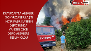 Yangın, Kuyucak’ta Aydın-Denizli Karayolu üzerinde bulunan bir incir işletmesinde sabah