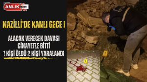 Olay, Nazilli Yeni sanayi mahallesi 549 sokak üzerinde gece saatlerinde