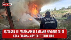 Feci yangın Bozdoğan’a bağlı kırsal Olukbaşı Mahallesi’nde 16:00 sularında meydana