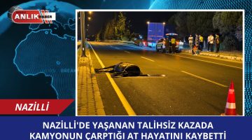 Nazilli’de Kamyon Ata Çarptı: Talihsiz Hayvan Can Verdi