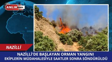 NAZİLLİ’DE ORMAN YANGINI!