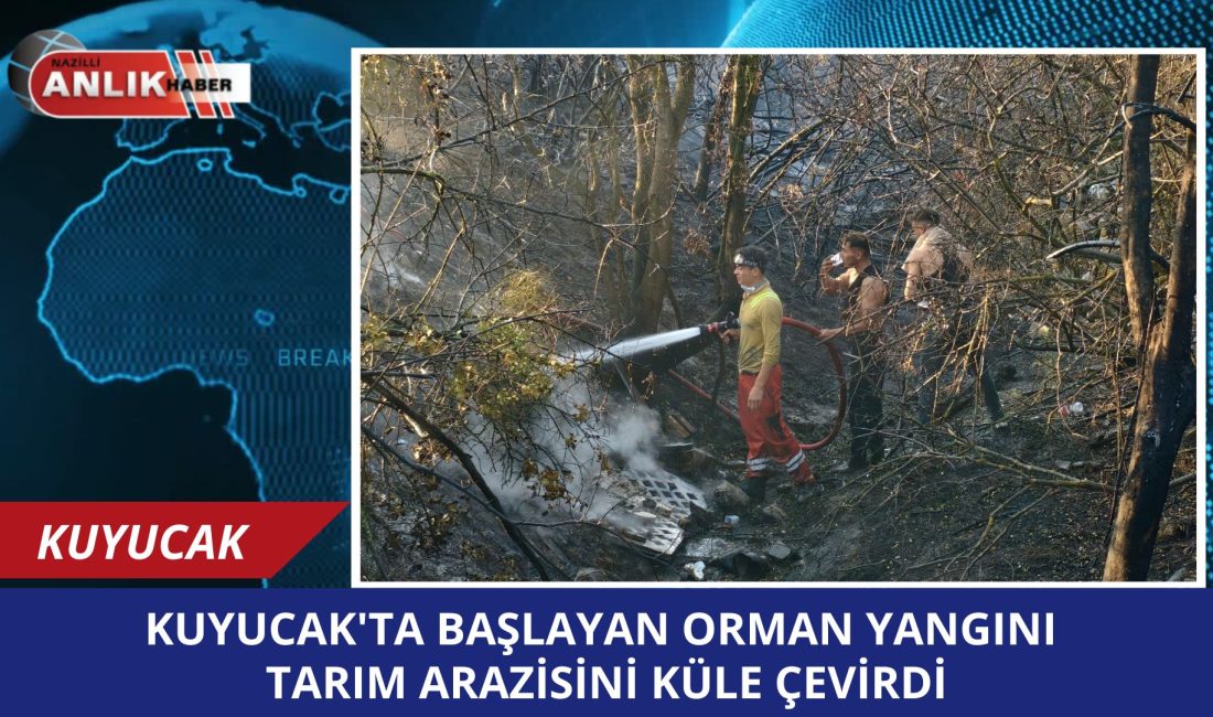 Kuyucak‘taki orman yangının sebebi belli oldu Başkan Doğanca yangın bölgesinde