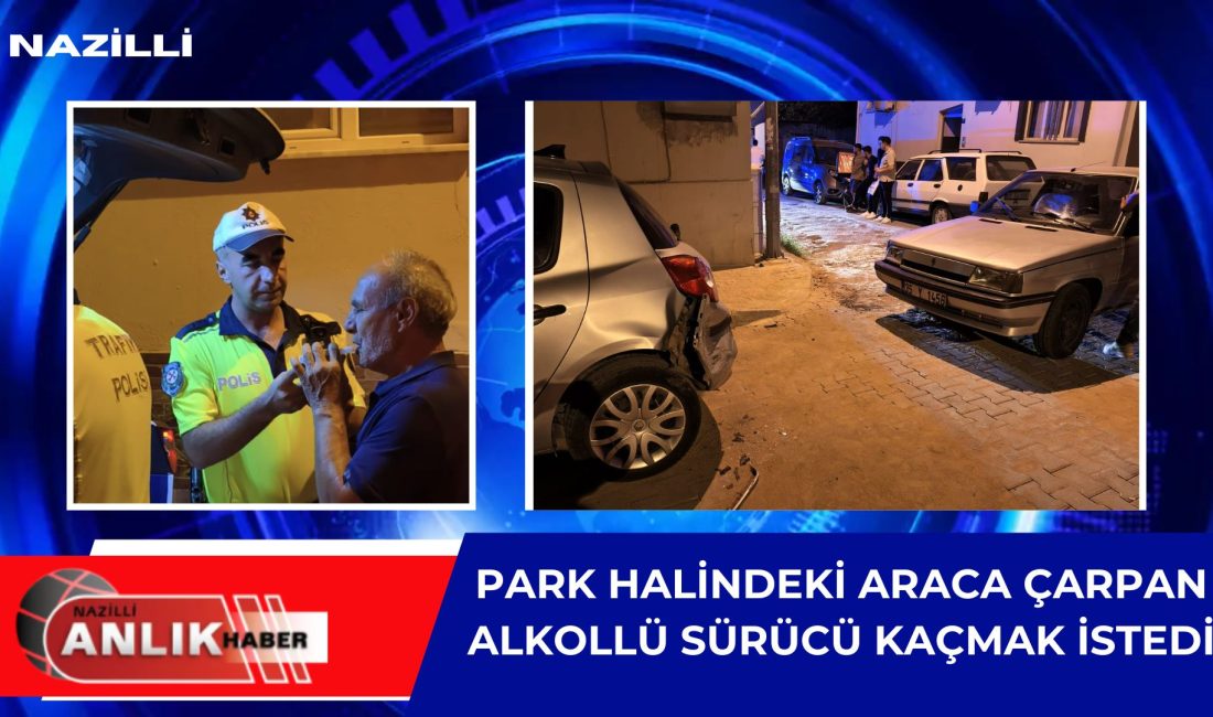 Nazilli’nin Kurtuluş Mahallesi’nde meydana gelen kazada, 199 promil alkollü olduğu