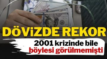 2001 krizi seviyesi de aşıldı! Mevduatta döviz payı rekor kırdı