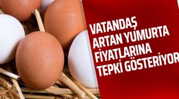 Yumurtanın fiyatı yüzde 65 arttı