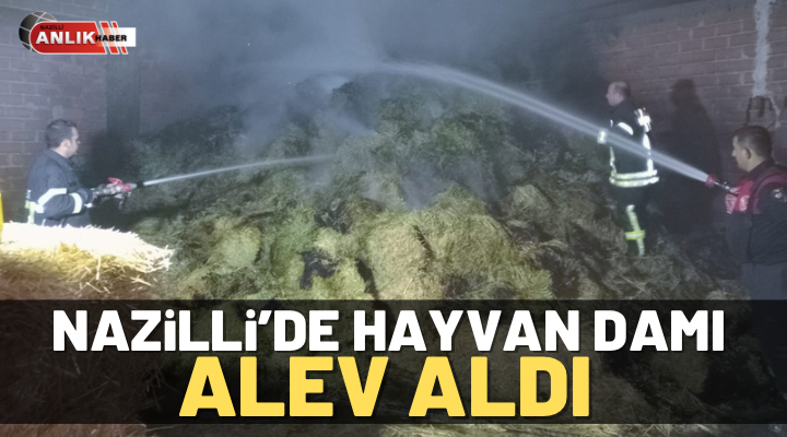 Nazilli’de hayvan damı alev aldı