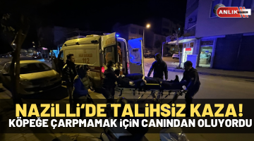 Köpeğe çarpmamak için canından oluyordu