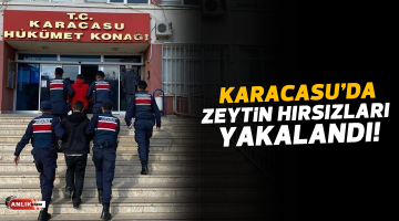 Karacasu’da zeytin hırsızları yakalandı