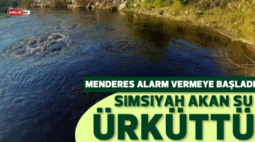 Menderes siyaha büründü