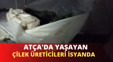 ÇİLEK ÜRETİCİLERİ İSYANDA