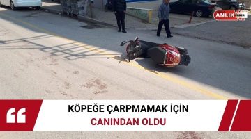 KÖPEĞE ÇARPMAMAK İÇİN CANINDAN OLDU