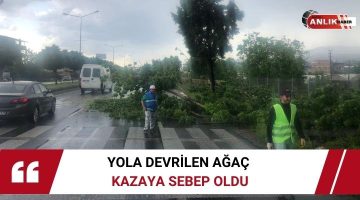 YOLA DEVRİLEN AĞAÇ KAZAYA SEBEP OLDU