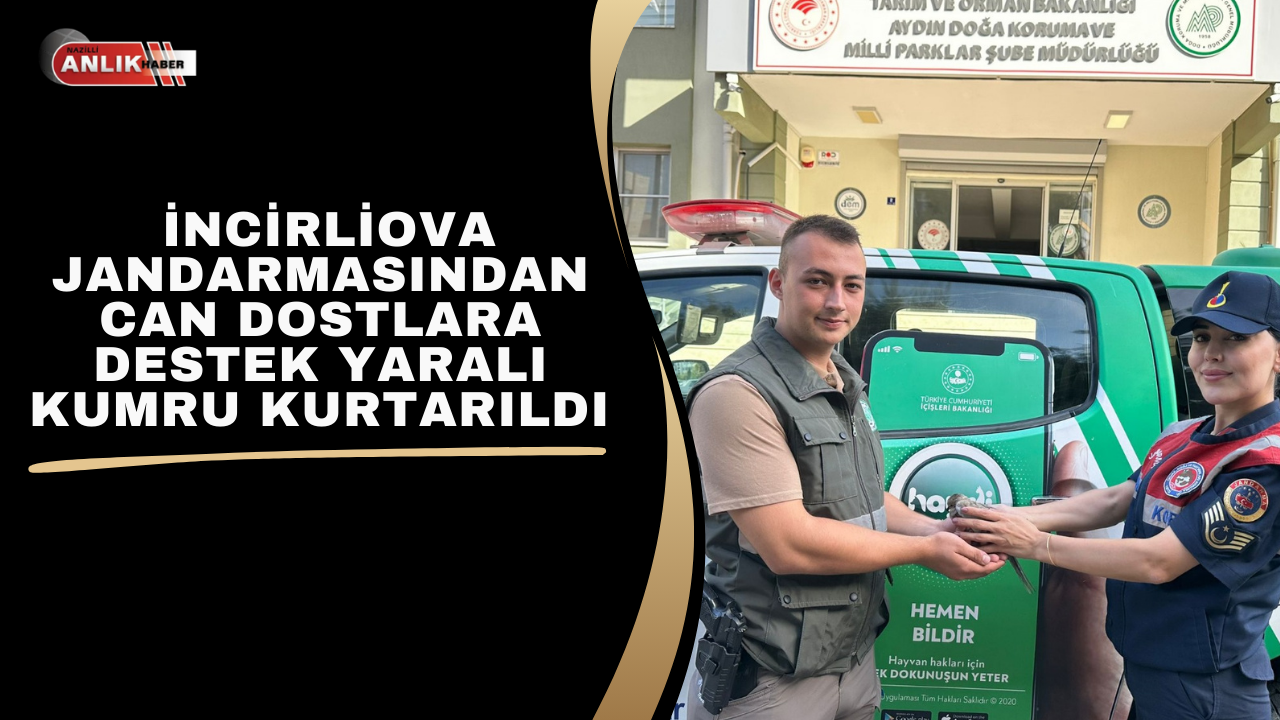 İncirliova’da Yaralı Kumruya Yeni Hayat
