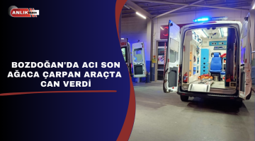 BOZDOĞAN’DA ACI SON AĞACA ÇARPAN ARAÇTA CAN VERDİ