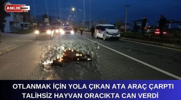 OTLANMAK İÇİN YOLA ÇIKTI ORACIKTA CAN VERDİ