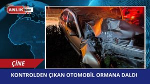 Aydın’ın Çine ilçesinde direksiyon hakimiyetini kaybeden sürücü, kaldırımdan geçerek ormanlık
