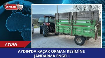 KAÇAK ORMAN KESİMİNE JANDARMA ENGELİ!