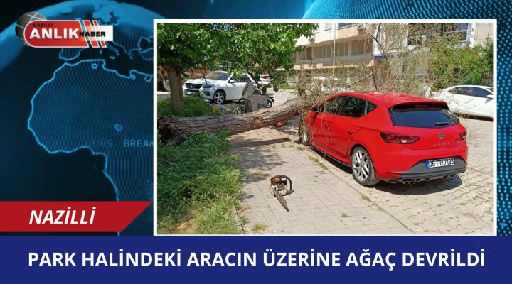 PARK HALİNDEKİ ARACIN ÜZERİNE AĞAÇ DEVRİLDİ!