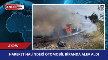 Aydın’da Üniversite Hastanesi Yolunda Araç Yangını: Otomobil Kül Oldu!