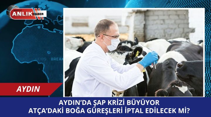 Aydın’da Şap Krizi Büyüyor: Atça’daki Boğa Güreşleri İptal Edilecek Mi?