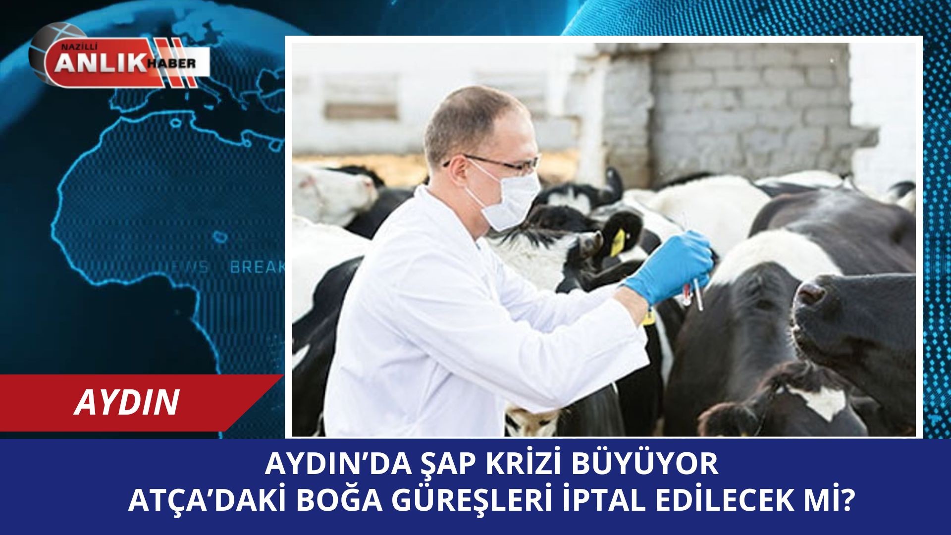 Aydın’da Şap Krizi Büyüyor: Atça’daki Boğa Güreşleri İptal Edilecek Mi?