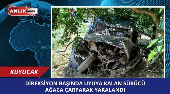 Kuyucak’ta Otomobil Ağaca Çarptı, Sürücü Yaralandı