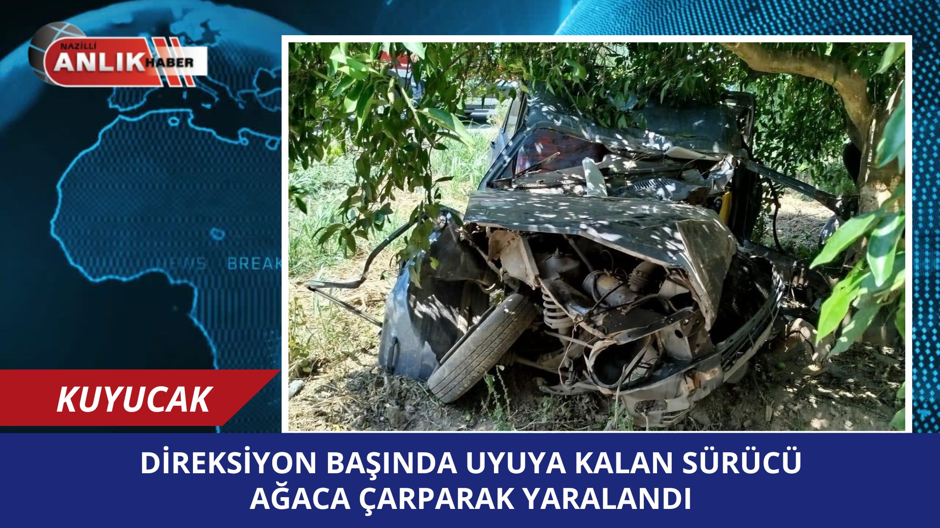 Kuyucak’ta Otomobil Ağaca Çarptı, Sürücü Yaralandı