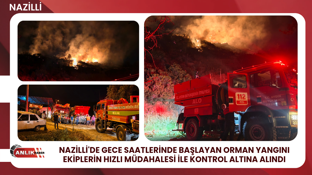 NAZİLLİ’DE GECE SAATLERİNDE ORMAN YANGINI!