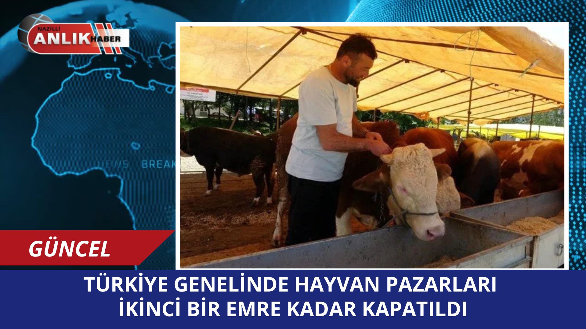 Ülke Genelinde Hayvan Pazarları Şap Hastalığı Nedeniyle Kapatıldı