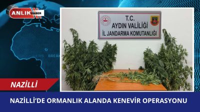 Aydın’ın Nazilli ilçesi Aksu Mahallesi’nde jandarma ekipleri tarafından ormanlık alanda