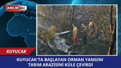 Kuyucak‘taki orman yangının sebebi belli oldu Başkan Doğanca yangın bölgesinde
