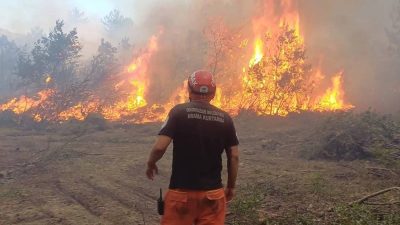 Eskişehir’in Seyitgazi ilçesinde çıkan orman yangınını söndürme çalışmaları sırasında alevlerin